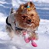 Snow day!-image.jpg