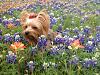 Texas Bluebonnet pics-2014-04-02-10.39.04-resize-2.jpg