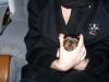 Skeeter at 4 weeks old.-100_2743.jpg