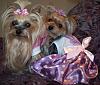 Happy Easter from Dolly & Teena-101_5312.jpg