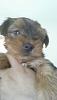 meet Bella!-20140419_110703-picsay.jpg