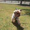 Sunday funday at the park....-img_20140427_134343.jpg