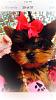 New to the yorkie family!-image.jpg