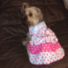 My Baby Pebbles-yt-picture.gif