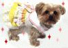 My Baby Pebbles-pebbles-yellow-dress-flash.gif