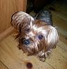 Happy 2nd Birthday Keylo-20140722_072850.jpg