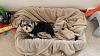 Lexi's new "doggy bed"-20140730_161440.jpg