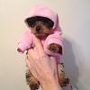 Puppies first hoodie.-unnamed.jpg