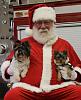 Gunner and MeSo visited Santa today.-santa-doggies.jpg