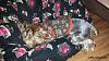 Let's see pictures of your sleeping babies!!!!-image.jpg