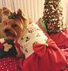 A few Christmas pics of Lacey Rose-20141215_194033-1.jpg