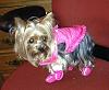 Introducing Tessa-tessas-new-raincoat-n-booties.jpg