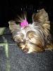 Let's see pictures of your sleeping babies!!!!-winnie1.jpg