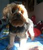 Here's my sweetheart, Chloe-image55.jpg