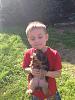 my 1st yorkie-10378964_10206161166055956_2854106873065184769_n.jpg