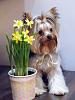 Teddys Easter Pics-1.jpg