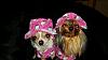 Adorable Easter outfits-gidget-twink-easter.jpg
