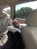 Which way does your Yorkie face when riding in the car?-happy-rider.jpg