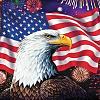 Happy July 4th to you all !-11009346_10207243398592714_8359348308027069892_n.jpg