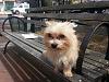 My name is Lolita...  :)-20140422_144605.jpg
