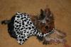 Mini's New Moo dress-img_2591-small-.jpg