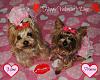 My Girls want to wish you...-dsc_0025_1.jpg