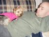 February 26th is Yorkie Daddy Day! (YDD)-punkin_dave_4.jpg