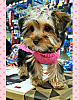 Meet Pretty 💖-20170228_135133-252x319.png