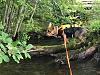 Jackson's vacation!-img_6251.jpg