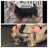 Maezie's transformation-renderedcontent-55bff742-91f8-4ec0-9b3e-add6c6f9d3bc.jpg