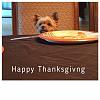 Thanksgiving photo-img_7750.jpg