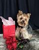 Getting ready for Valentine's Day-img_0446.jpg
