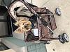 YORKIE HAVEN Stroller-yorkie-haven-stroller.jpg