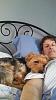 Yorkie puppy to adult photos!-toby-daddy-nap-time-resized.jpg