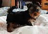 Obi-20181227_110117small.jpg