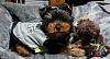 Obi-20181230_092550small.jpg