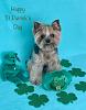 St.Patrick's Day Photos-stpat19.jpg