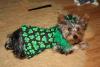 Miss Mini is mad ..St.Pattys day humpft...-img_3219-small-.jpg