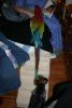 BirdieSteps?-img_1603.jpg