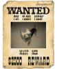 Maisy's Wanted!-wantedposter3.jpg