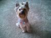 Just back from the groomers!!-groomig-day-004.jpg
