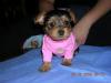 This is my baby Rylie-rylie-pink.jpg