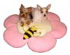 Chloe's new beds (well actually they're supposed to be Tink's)-flowerbed.jpg