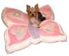 Chloe's new beds (well actually they're supposed to be Tink's)-butterflybed1.jpg