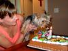 Schatzie's 1st Birthday!!  YEAH!!-schatzie-blowing-out-her-candle-yt.jpg