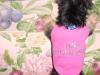 Ramsey modeling clothes from Tinkerbellscloset-mvc-028s.jpg