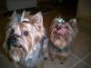 We got bathes!!!-groomig-day-021.jpg