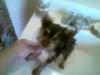 Hey It's Bath Time For Me.........-babe-girl-her-bath.jpg