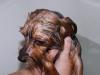 Chewie hasn't had photos posted in a LONG time...-baconhead-after-bath.jpg