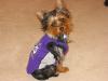 Aggie has joined the NBA!!-img_3736.jpg